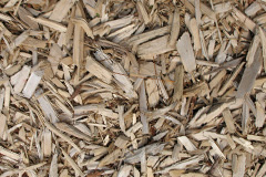 biomass boilers Ireton Wood